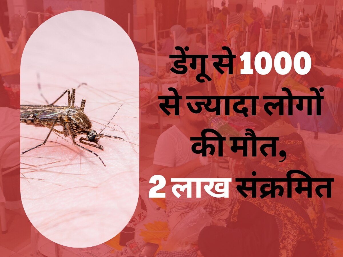 इस देश में कहर बरपा रहा डेंगू, 1000 से ज्यादा की मौत; दो लाख लोग संक्रमित
