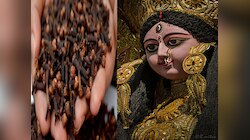 Navratri 2023 : इन नवरात्रि लौंग के टोटके से चमका लें अपनी किस्मत