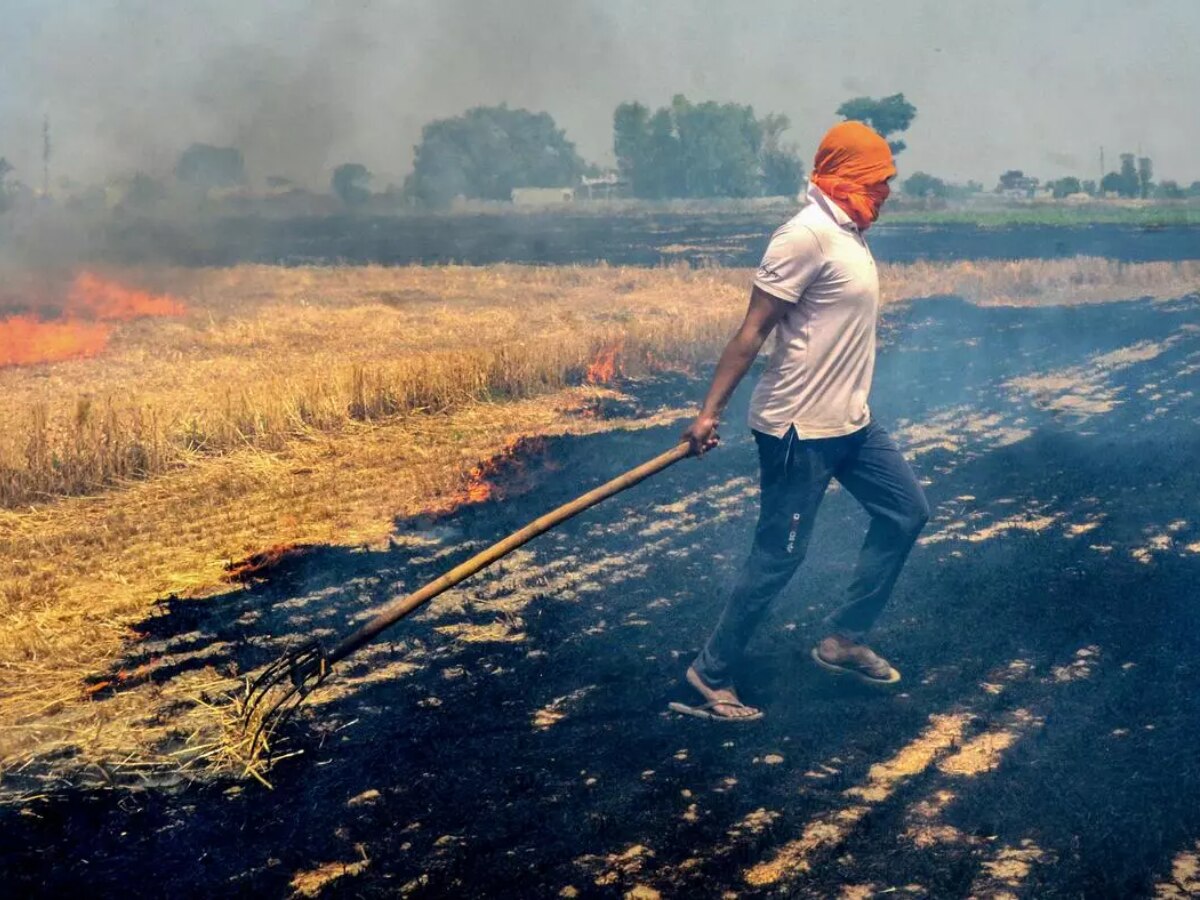 Stubble Burning Ban: फतेहाबाद में धारा 144 लागू, पराली न जलाने के आदेश 
