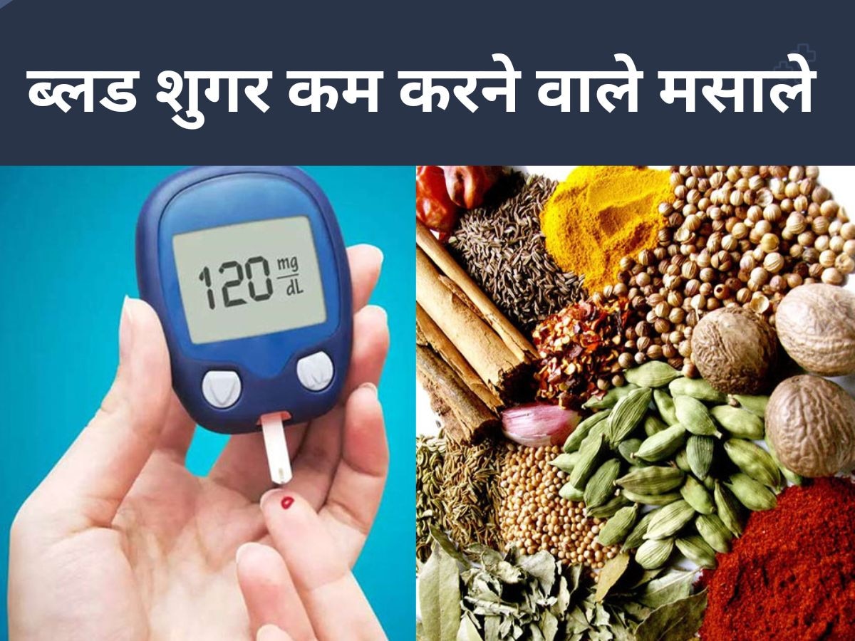 Blood Sugar Level को काबू में रखेंगे ये 4 मसाले, Diabetes के मरीज जरूर उठाएं फायदा