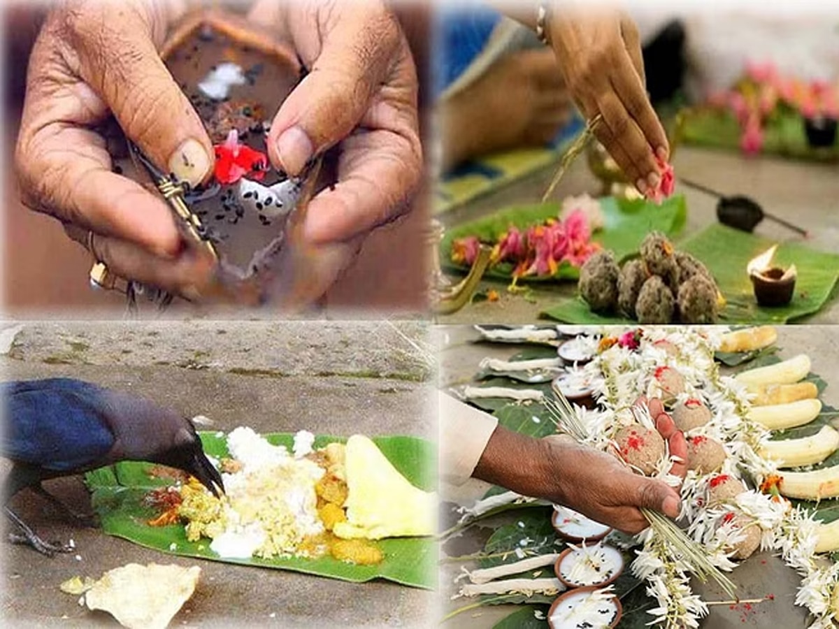 सर्वपितृ अमावस्‍या पर करें इन लोगों का श्राद्ध, जान लें तर्पण का शुभ मुहूर्त 