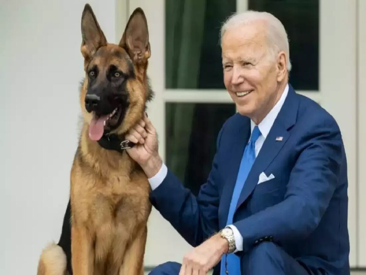 अमेरिकी President के कुत्ते ने किसको 11 बार काटा, जिसके चलते उसे White House से निकालना पड़ा