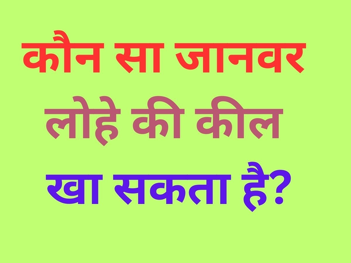 Trending Quiz: कौन सा जानवर लोहे की कील खा सकता है?