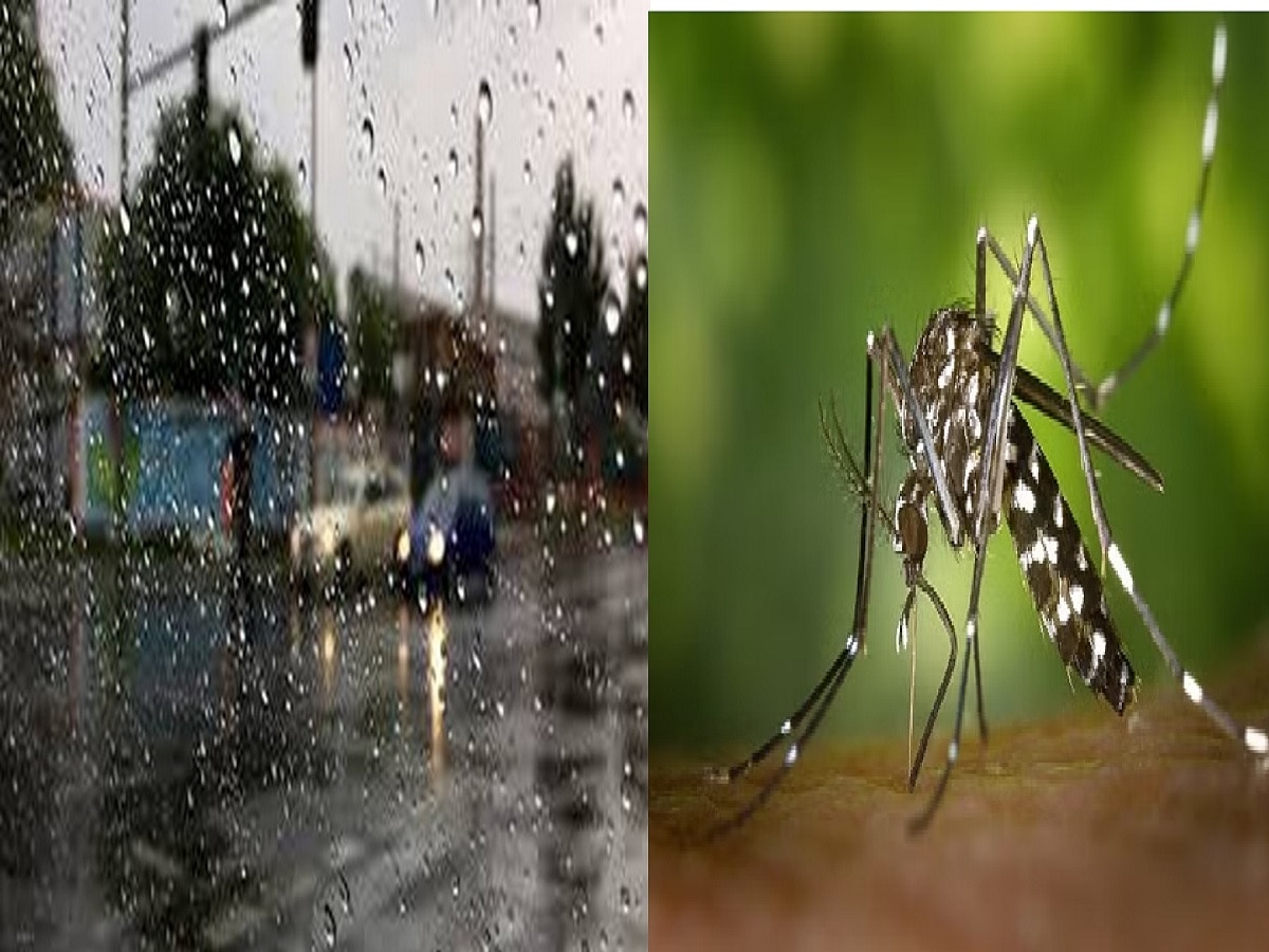 Begusarai: लगातार बारिश से जनजीवन अस्त-व्यस्त, सड़कों- घरों में जलजमाव, पैर पसार रहा डेंगू