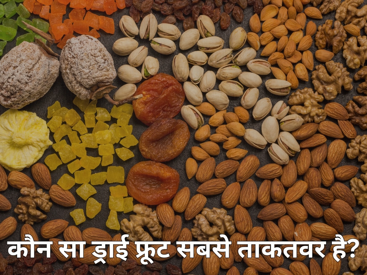 कौन सा ड्राई फ्रूट है सबसे ताकतवर? जानिए Dry Fruits खाने का सही समय