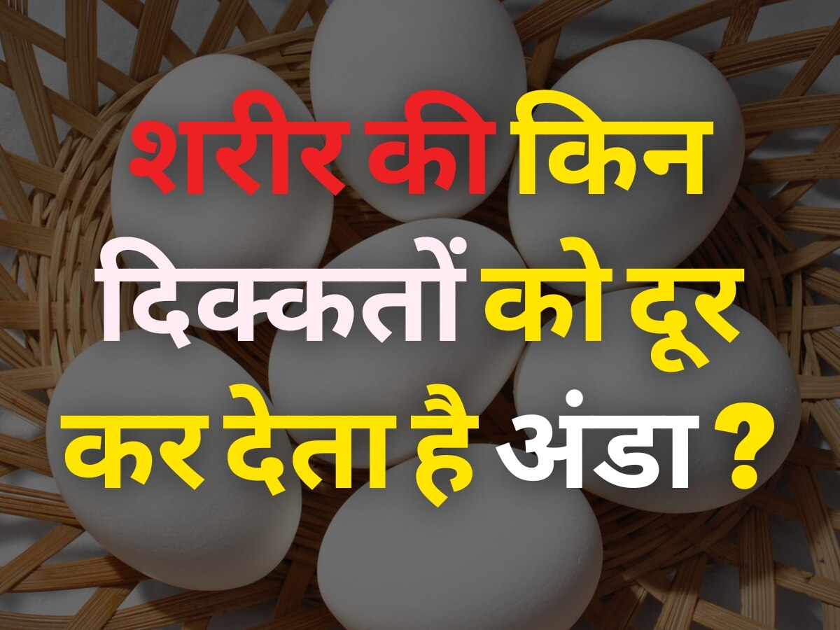 Egg Benefits: शरीर की इन दिक्कतों को दूर कर देता है अंडा, अधिक फायदे के लिए उबलकर खाएं या ऑमलेट बनाकर?