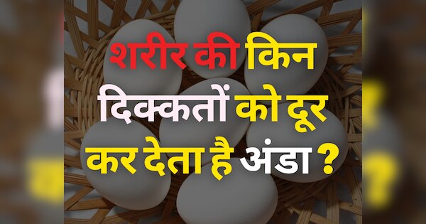 Which Is More Beneficial Boiled Egg Or Omelette
