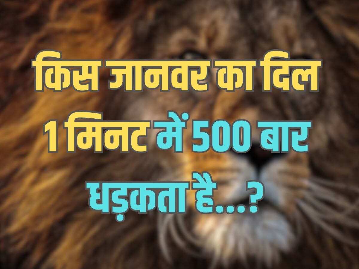 Trending Quiz : किस जानवर का दिल 1 मिनट में 500 बार धड़कता है?