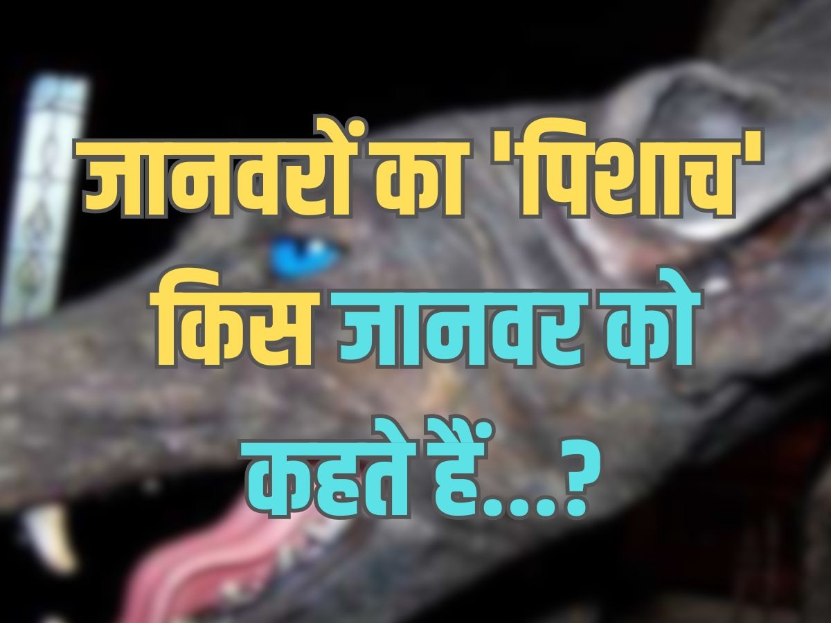 Trending Quiz : जानवरों का 'पिशाच' किस जानवर को कहते हैं?