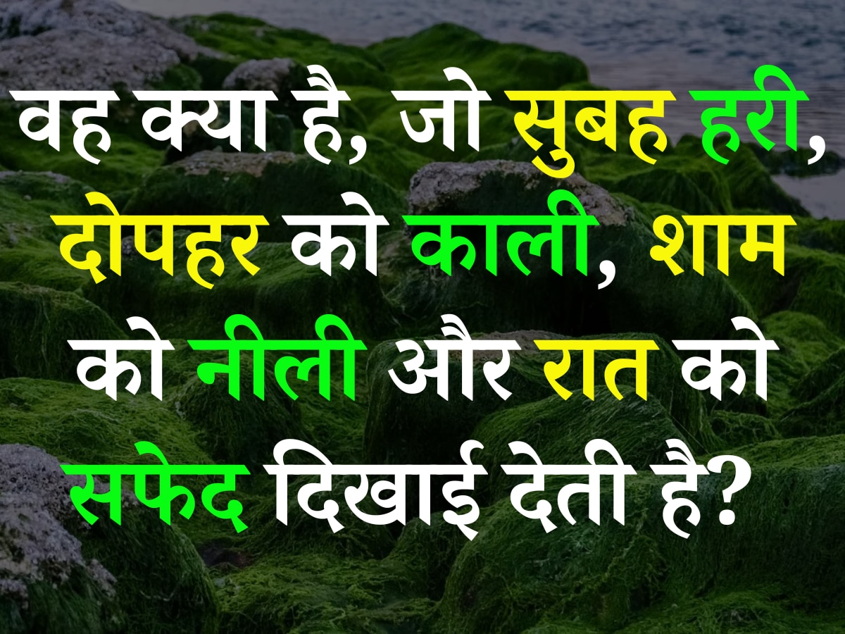 Quiz: वह क्या है, जो सुबह हरी, दोपहर को काली, शाम को नीली और रात को सफेद दिखाई देती है? 