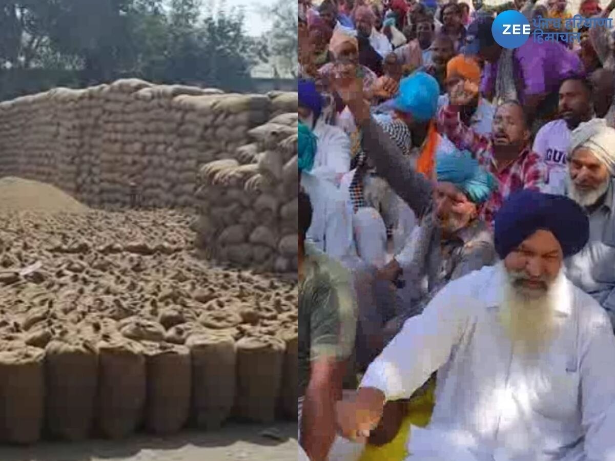 Punjab News: ਪੰਜਾਬ ਦੀਆਂ ਅਨਾਜ਼ ਮੰਡੀਆਂ ਨੂੰ ਲੈ ਕੇ ਆਈ ਵੱਡੀ ਖ਼ਬਰ- ਅੱਜ ਤੋਂ ਮੰਡੀਆਂ 'ਚ ਕੰਮ ਠੱਪ  