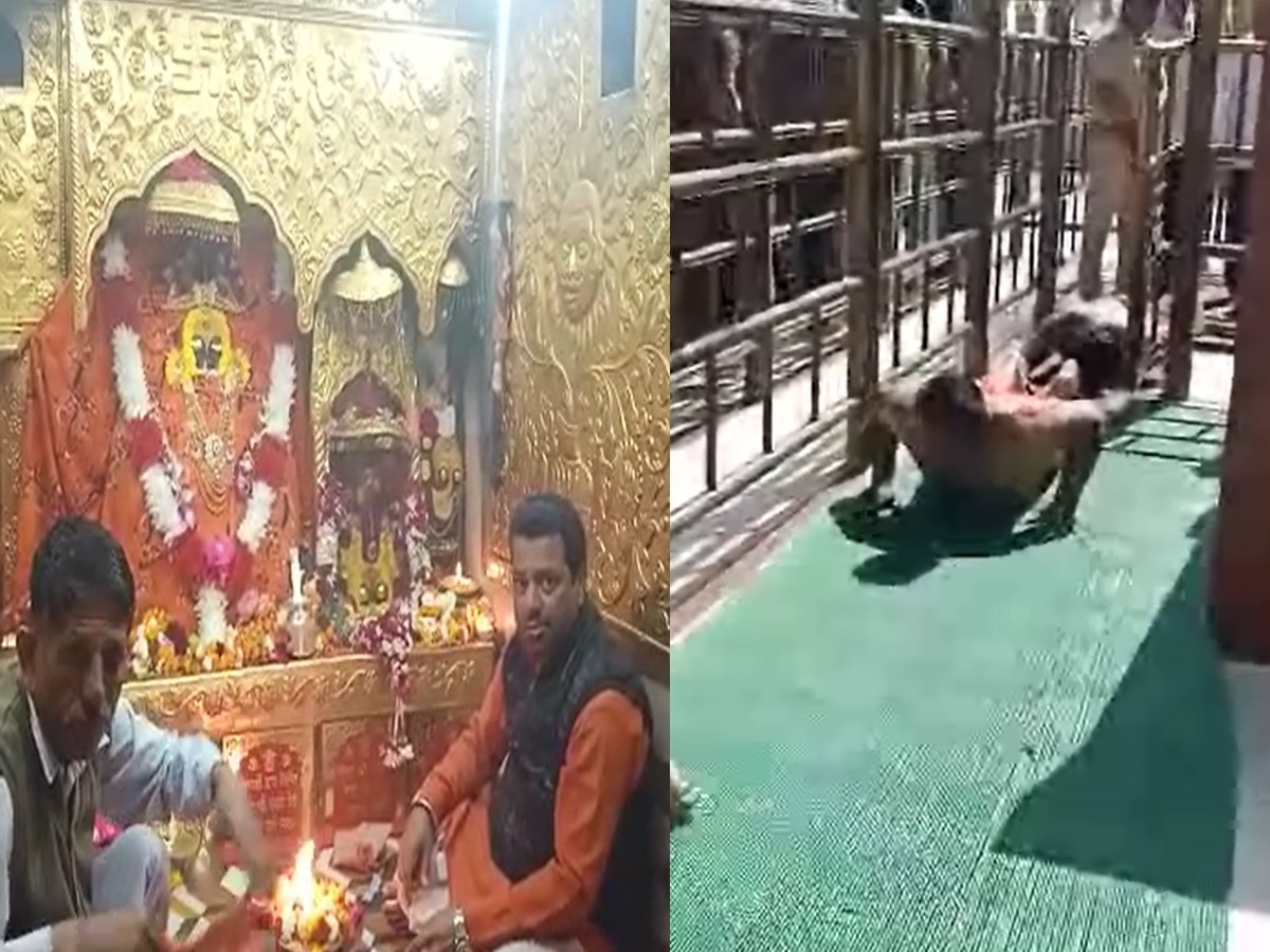 Naina Devi Mandir में दिखी श्रद्धालुओं की अटूट आस्था, पेट के बल चलकर मां के दरबार पहुंचा श्रद्धालुओं का जत्था