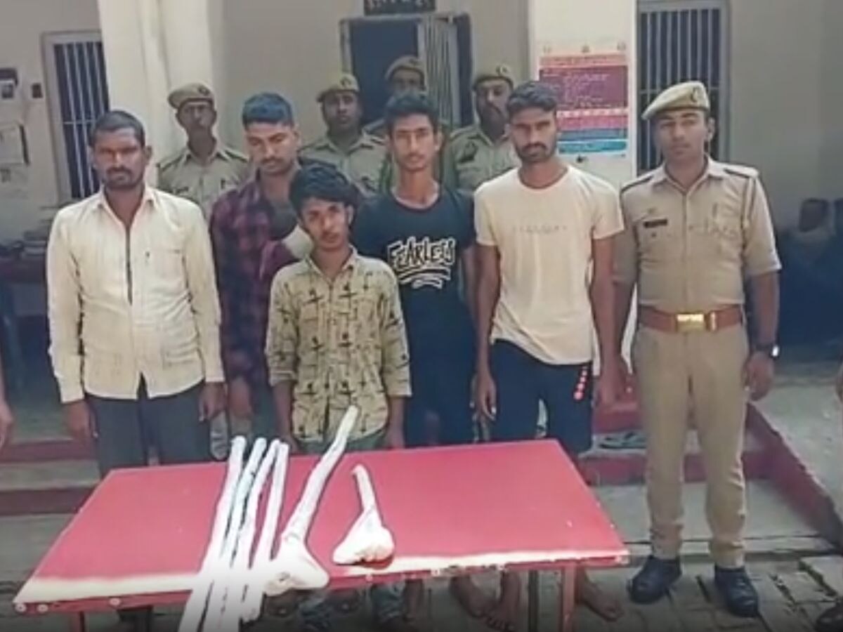 Kanpur Dehat Double Murder: कानपुर देहात हत्याकांड में पुलिस का एक्शन, आठ आरोपी  गिरफ्तार 