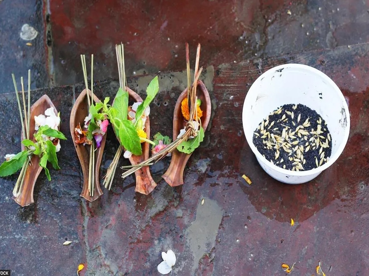 सर्व पितृ अमावस्‍या पर करें काले तिल का ये उपाय, 7 पीढ़ियों को आशीर्वाद देंगे पूर्वज