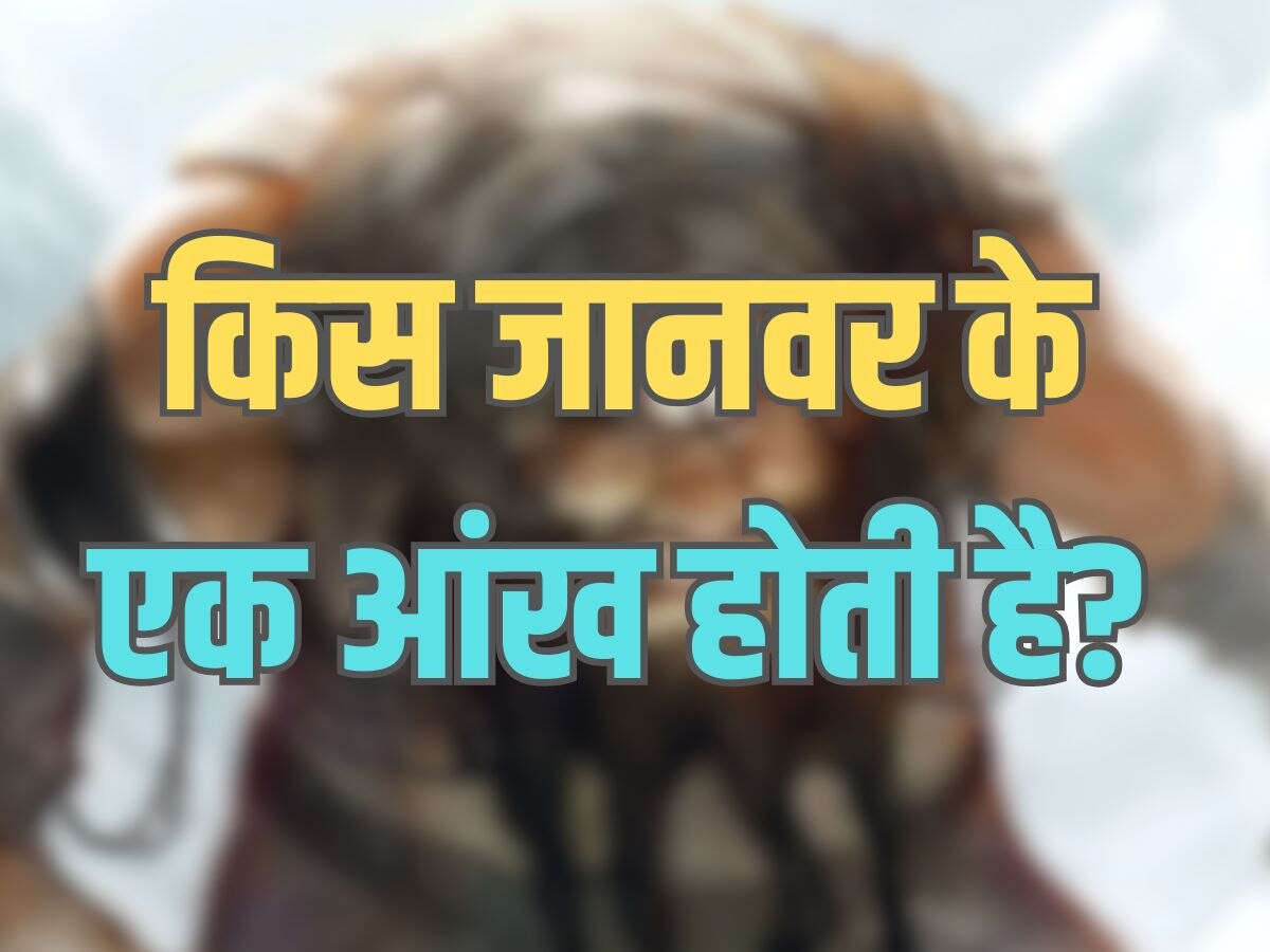 Trending Quiz : किस जानवर के एक आंख होती है?