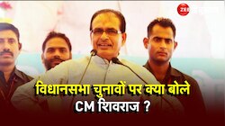आगामी विधानसभा चुनावों को CM Shivraj Singh Chouhan ने बताया   लोकतंत्र का त्योहार
