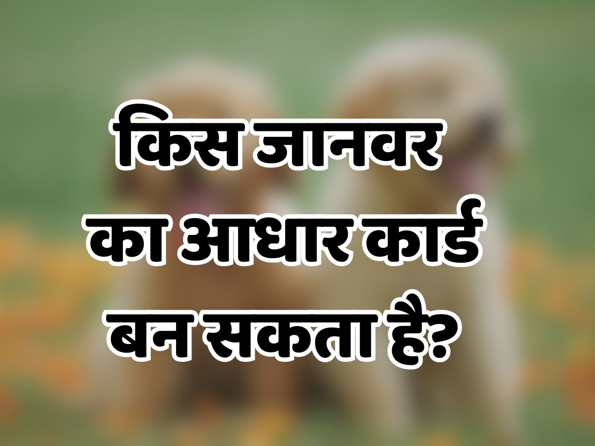 Interesting Quiz: इस जानवर का बन सकता है आधार कार्ड! इंसानों से मिलते हैं फिंगरप्रिंट