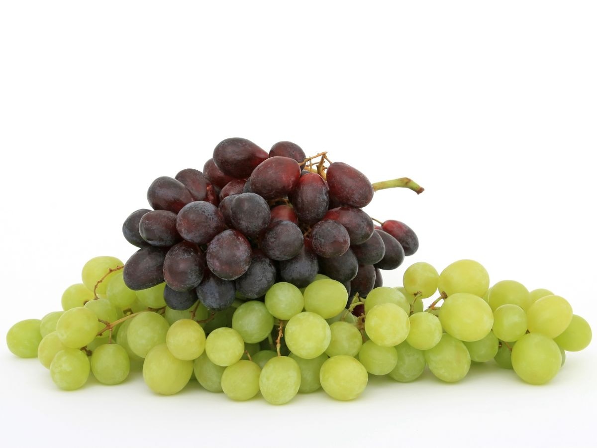 5 best foods for liver health coffee grapes nuts fatty fish and