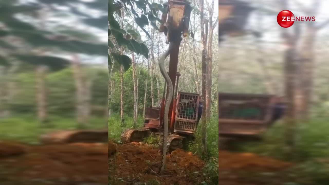 lonest ever 34 feet python spread terror in village crane come to find ...
