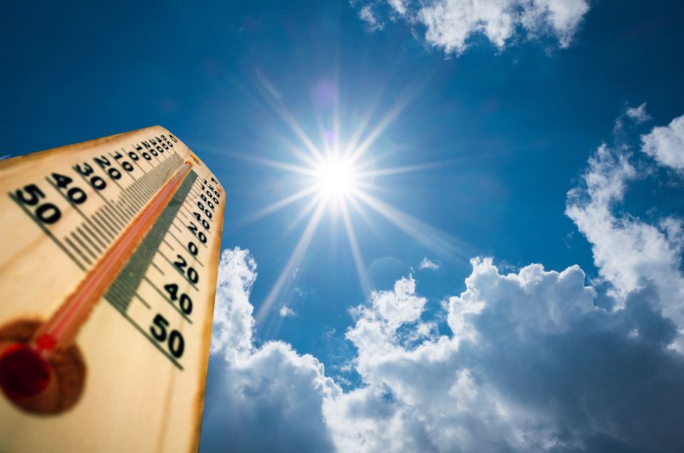 ସୌ(ସୋସିଆଲ ମିଡିଆ) ସୌ(ସୋସିଆଲ ମିଡିଆ)