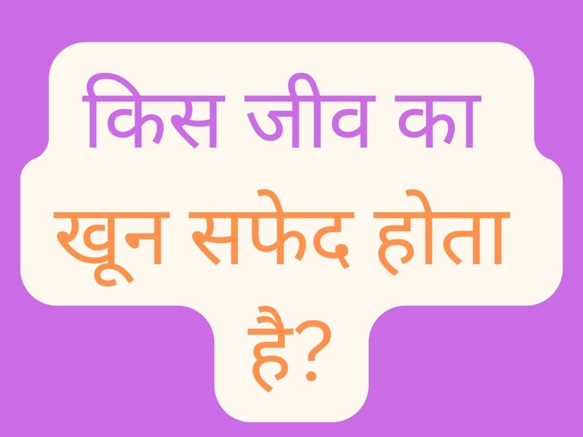 GK Quiz: किस जीव का खून सफेद होता है?