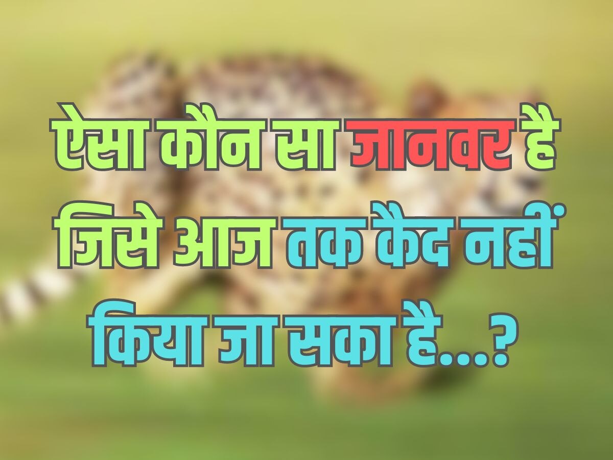 Trending Quiz : आखिर दुनिया में ऐसा कौन सा जानवर है, जिसे आज तक कैद नहीं किया जा सका है?