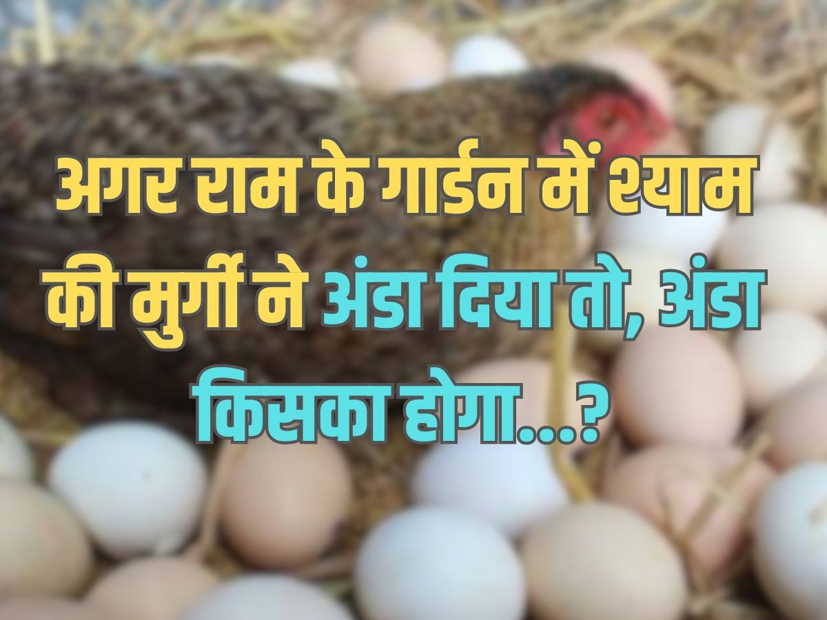 Trending Quiz : बताएं, अगर राम के गार्डन में श्याम की मुर्गी ने अंडा दे दिया, तो अंडा किसका होगा?