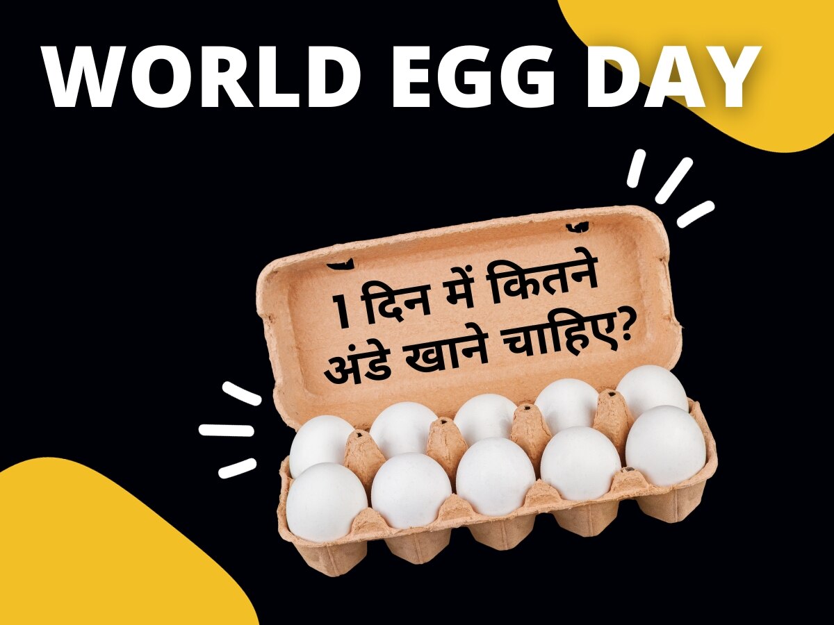 World Egg Day: 1 दिन में कितने अंडे का सेवन करना चाहिए? जानिए क्या है खाने का सबसे अच्छा समय