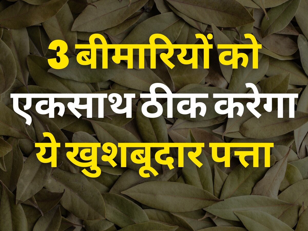 Bay Leaf Benefits: ये खुशबूदार पत्ता 3 बीमारियों का करेगा खात्मा, आयुर्वेदिक औषधि से नहीं है कम