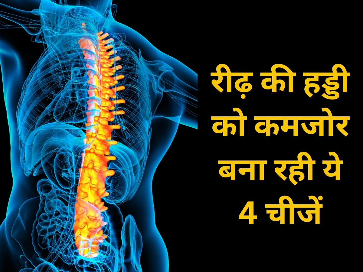 Weak Bones: रीढ़ की हड्डी को कमजोर बना रही ये 4 चीजें, तुरंत करें इनमें सुधार