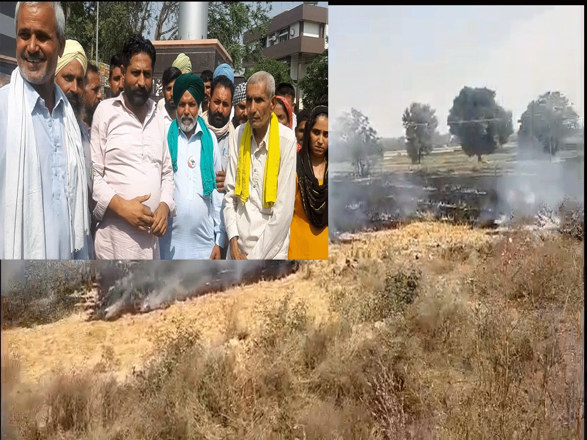 Haryana Stubble Burning 2023: पराली जलाने के लिए मशीन उपलब्ध कराएं सरकार, नहीं तो पराली जलाने को मजबूर किसान