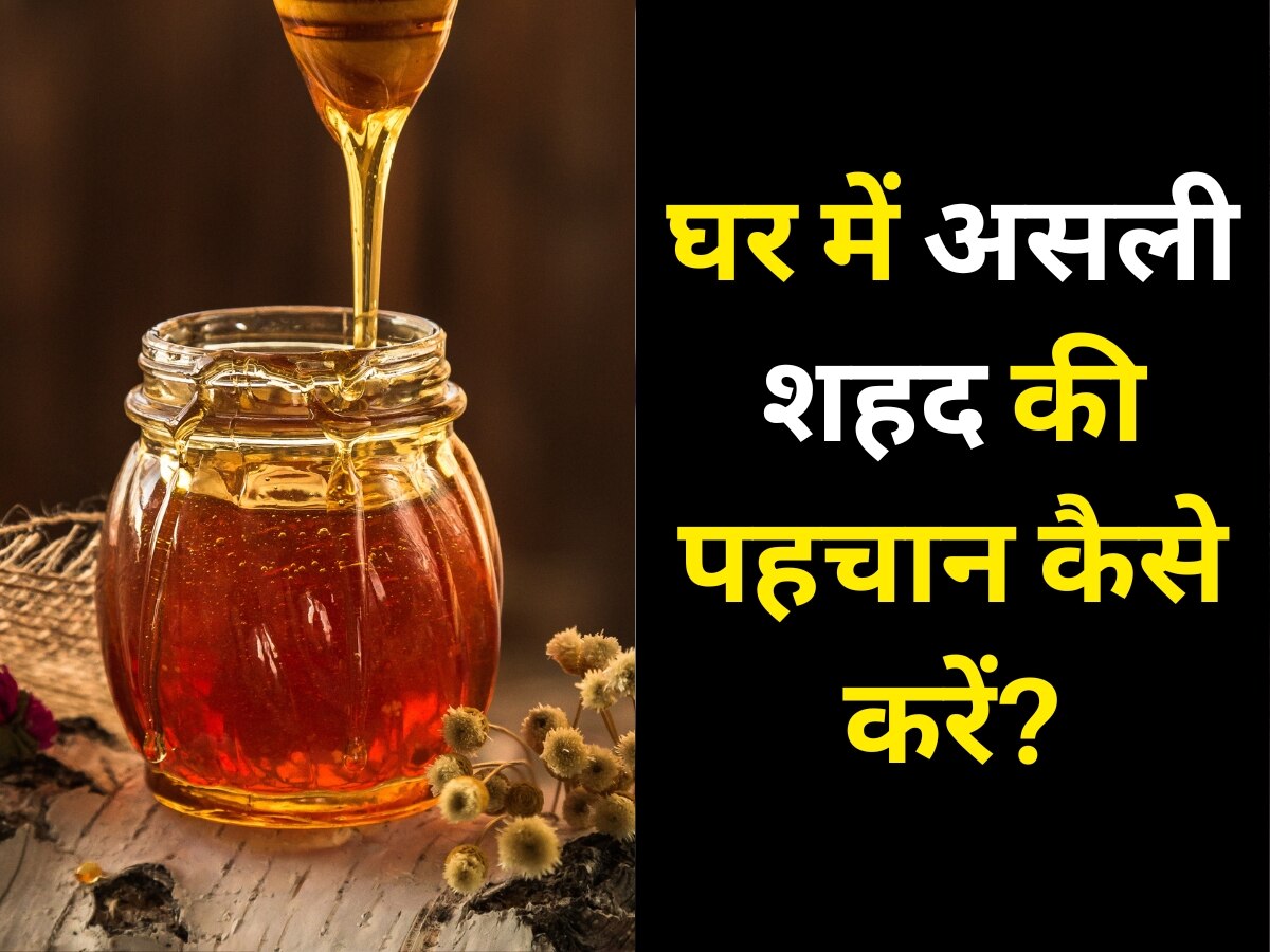 Honey Purity Test how to check the purity of honey at home Honey