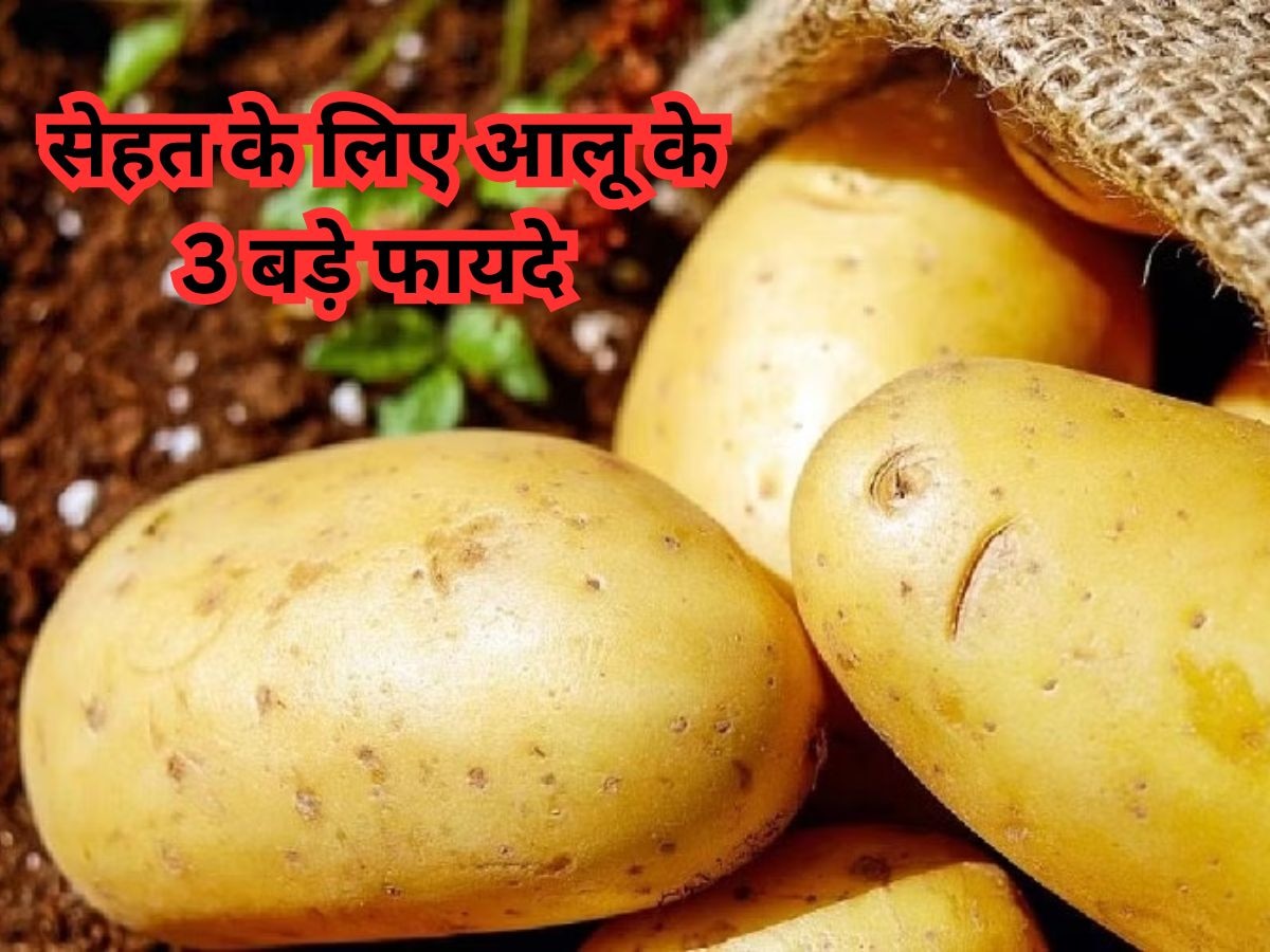 Potato Benefits: इस सब्जी में छिपा है सेहत का राज, स्वाद के साथ मिलते हैं कई हेल्थ बेनिफिट्स