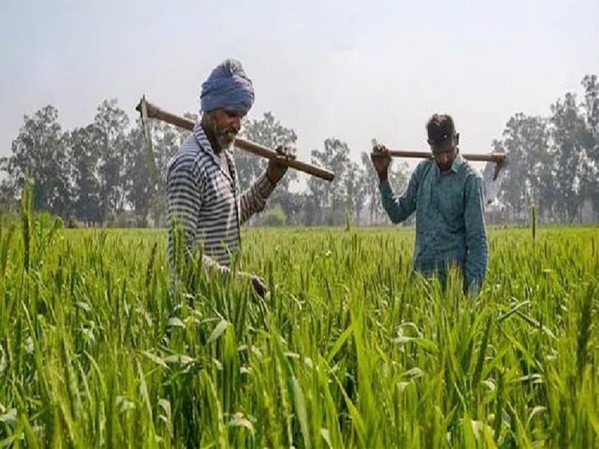 PM Kisan Yojana: चुनाव से पहले किसानों को मिलेगा बड़ा तोहफा, खाते में आएंगे इतने हजार रुपये