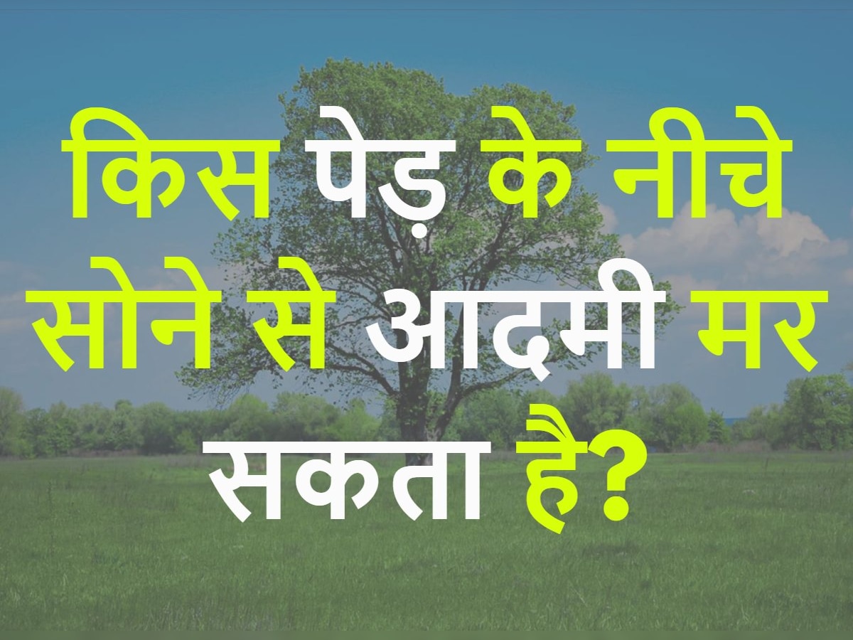 Quiz: किस पेड़ के नीचे सोने से आदमी मर सकता है?