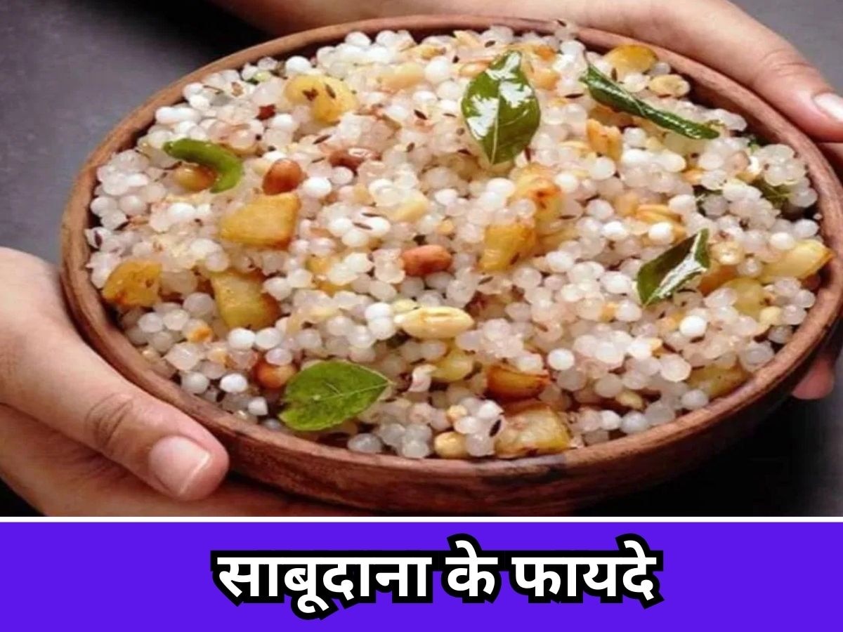 Saboodana Benefits: इस नवरात्रि व्रत में खूब खाएं साबूदाना, एनर्जी से भरपूर ये है पौष्टिक गुणों का खजाना  