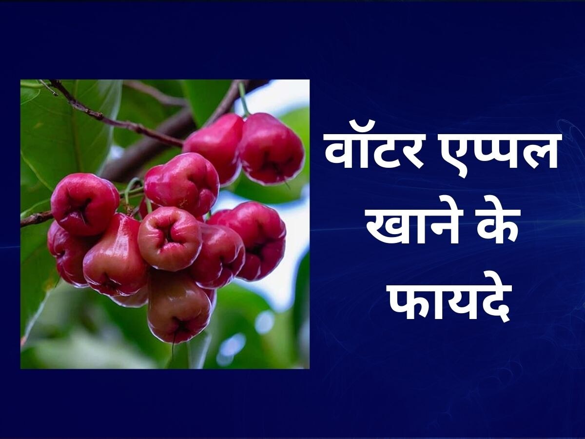 What Are The 5 Major Health Benefits of Eating Water Apple Khane Ke