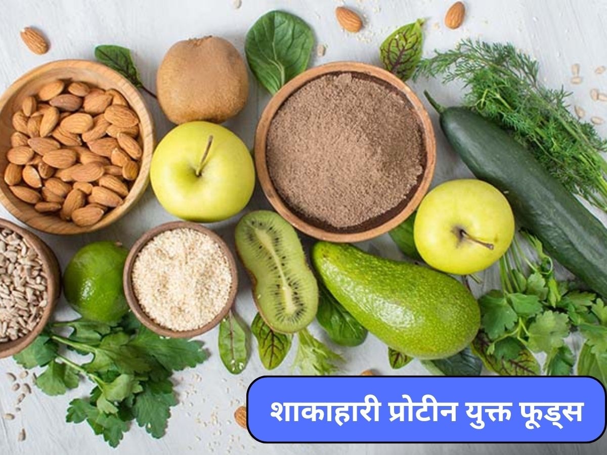 Protein Foods: शरीर में प्रोटीन की कमी हो रही है? डाइट में अंडा नहीं बस खाएं ये 4 फूड्स 