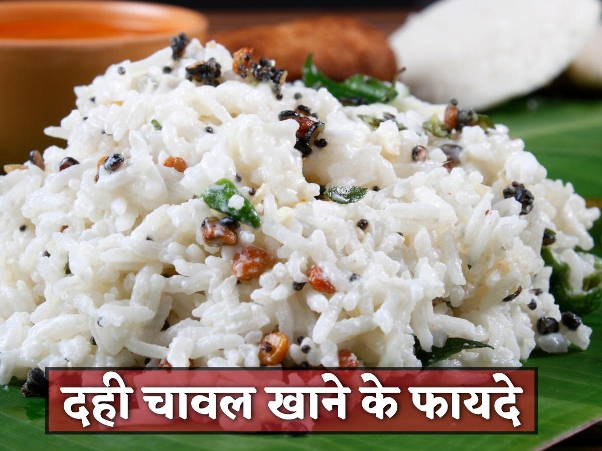 Curd Rice: वजन कंट्रोल से लेकर थकान दूर करने तक, जानें दही चावल खाने के गजब के फायदे