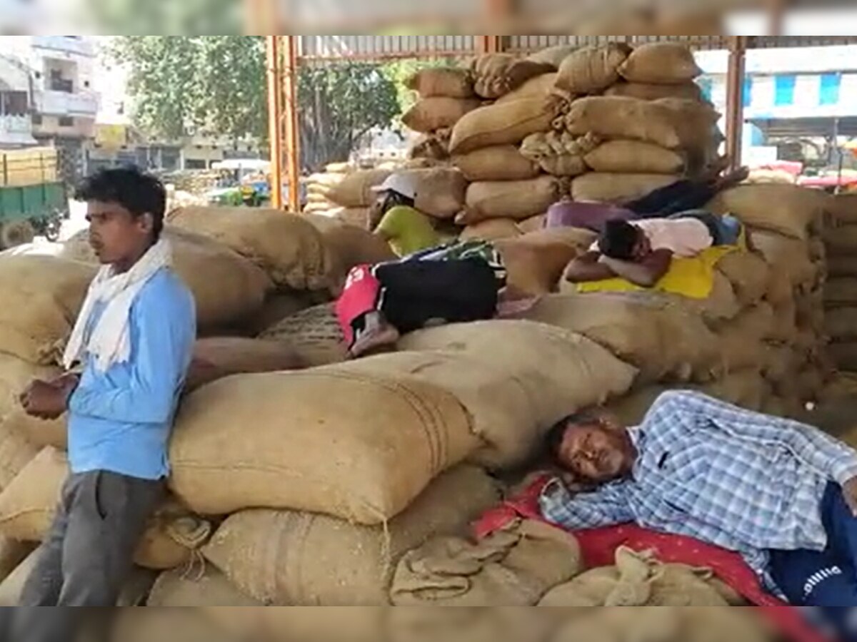 Mandi News: मिल मालिकों के विरोध के चलते अनाज मंडी में नहीं हो रही खरीद, किसानों को आर्थिक नुकसान
