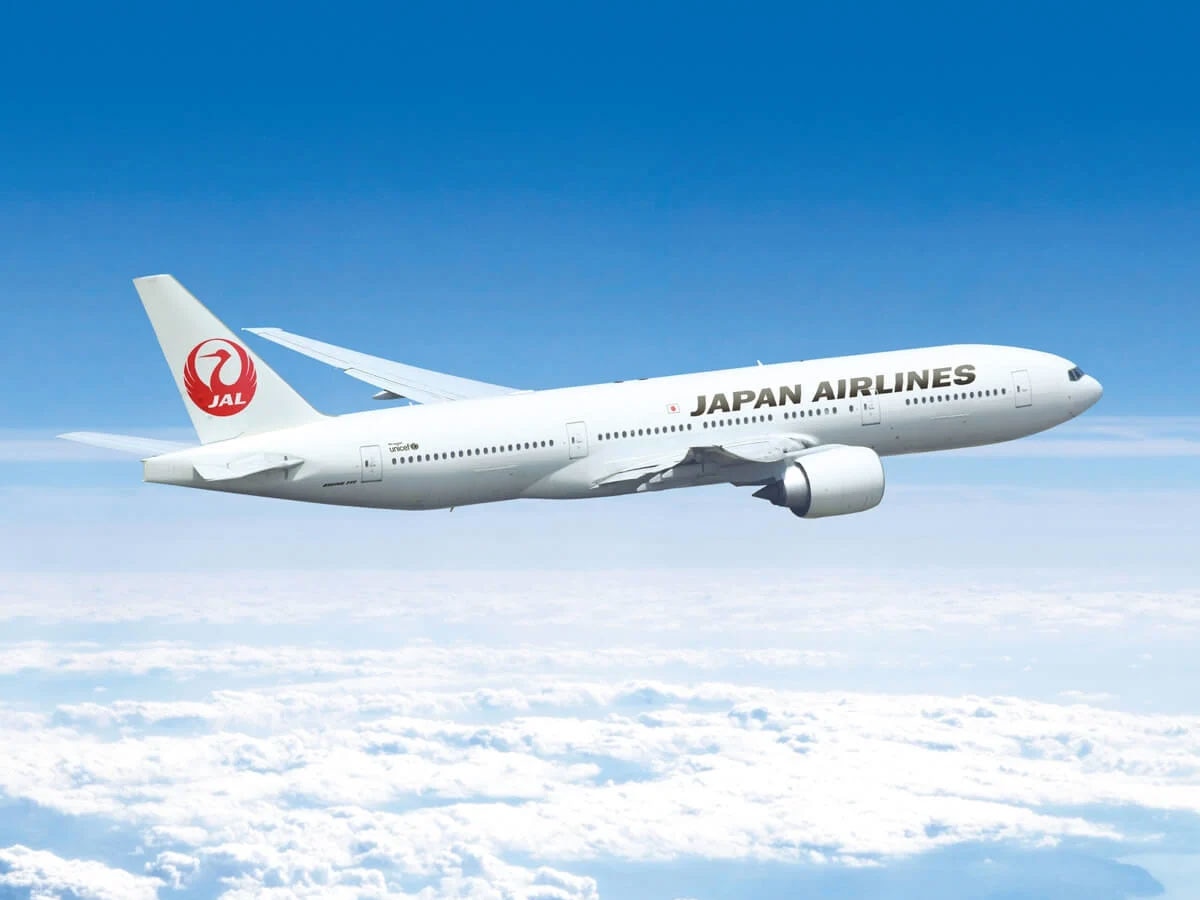Japan: 27 सूमो पहलवानों के बैठने से ओवर वेट हुए जापानी विमान, फिर यूं निकाला गया समस्या का समाधान
