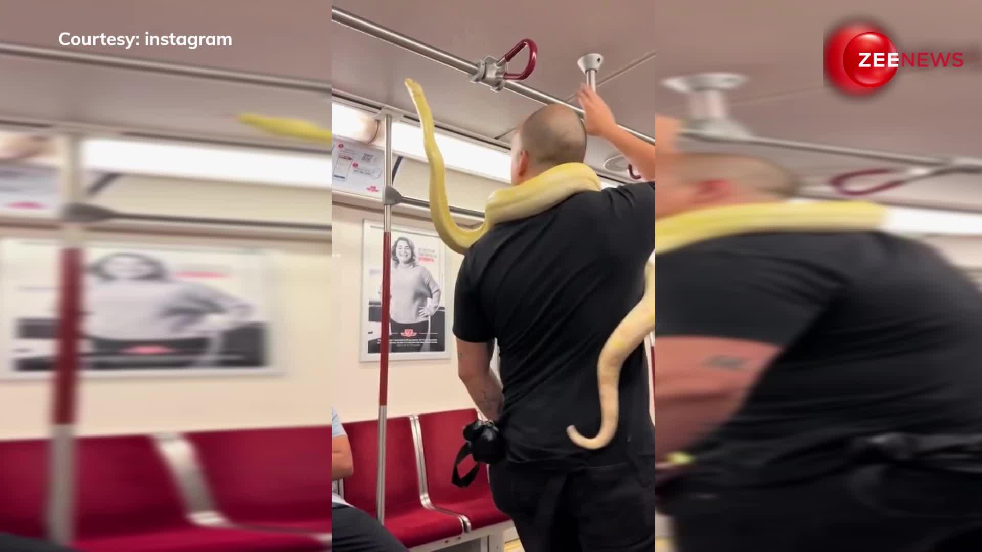 man boarded metro carrying 10 foot python on shoulder people get scared ...
