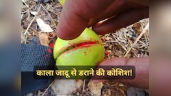 निगम कमिश्नर की गाड़ी में फेंके कटे नींबू, थाने तक पहुंचा मामला; काले जादू का है शक
