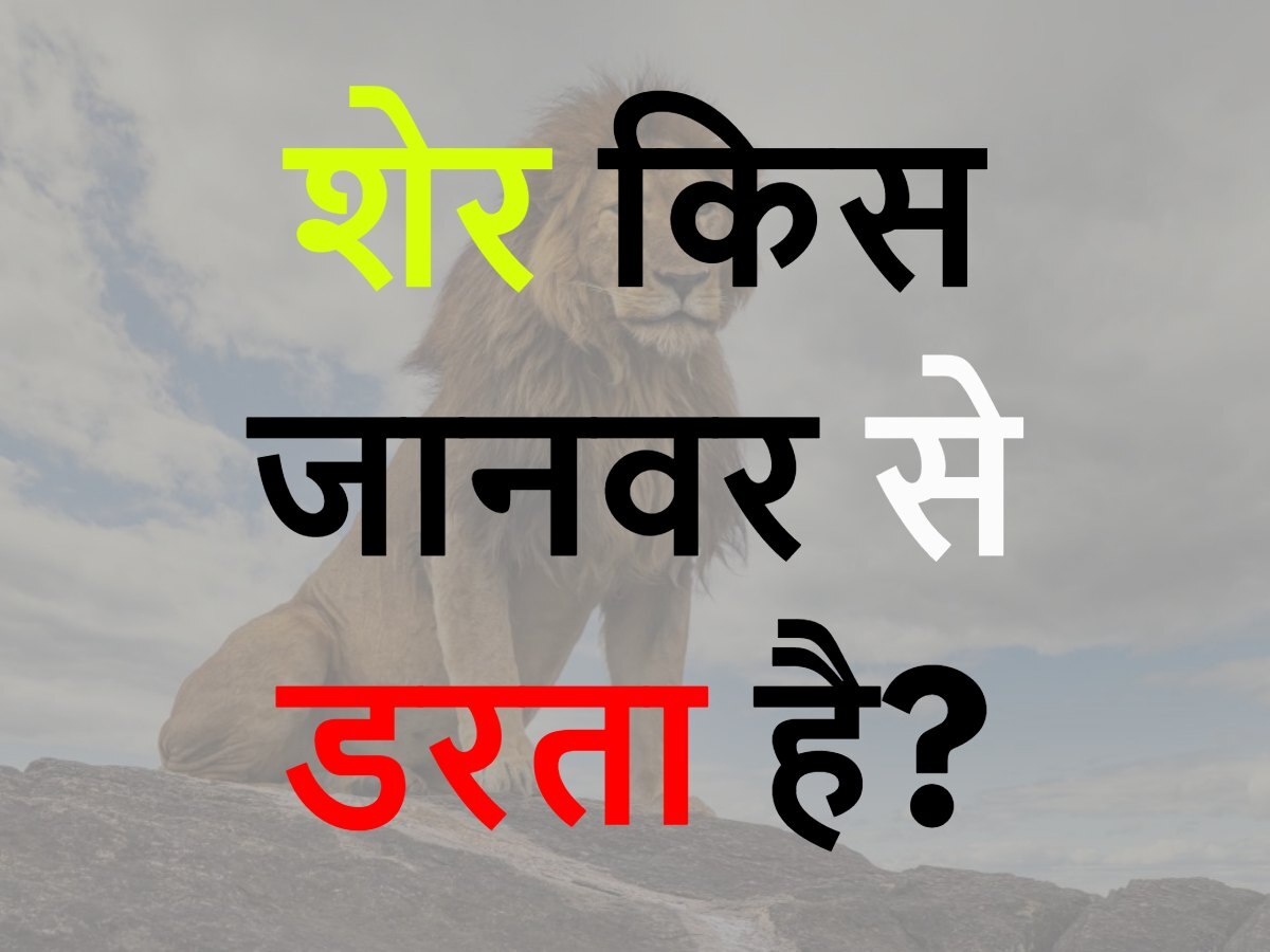 Quiz: शेर किस जानवर से डरता है?