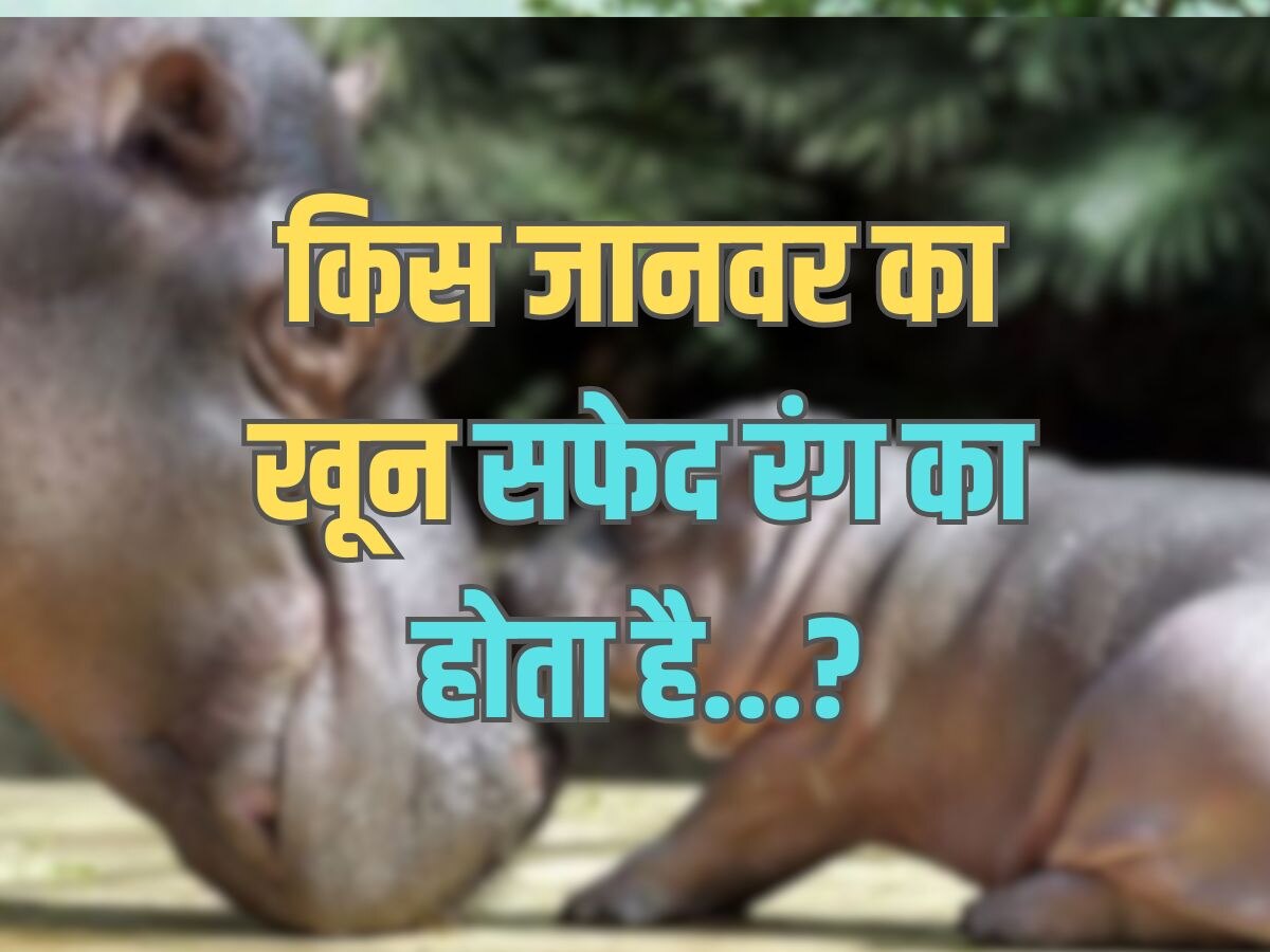 Trending Quiz : किस जानवर का खून सफेद रंग का होता है?