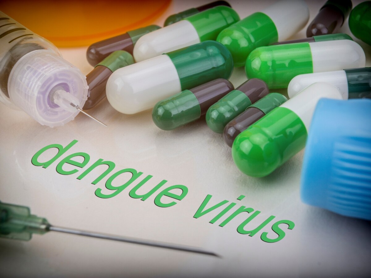 Dengue Medicines: अब डेंगू का भी हो सकेगा इलाज! बीमारी की पहली दवा के नतीजों से झूमे वैज्ञानिक