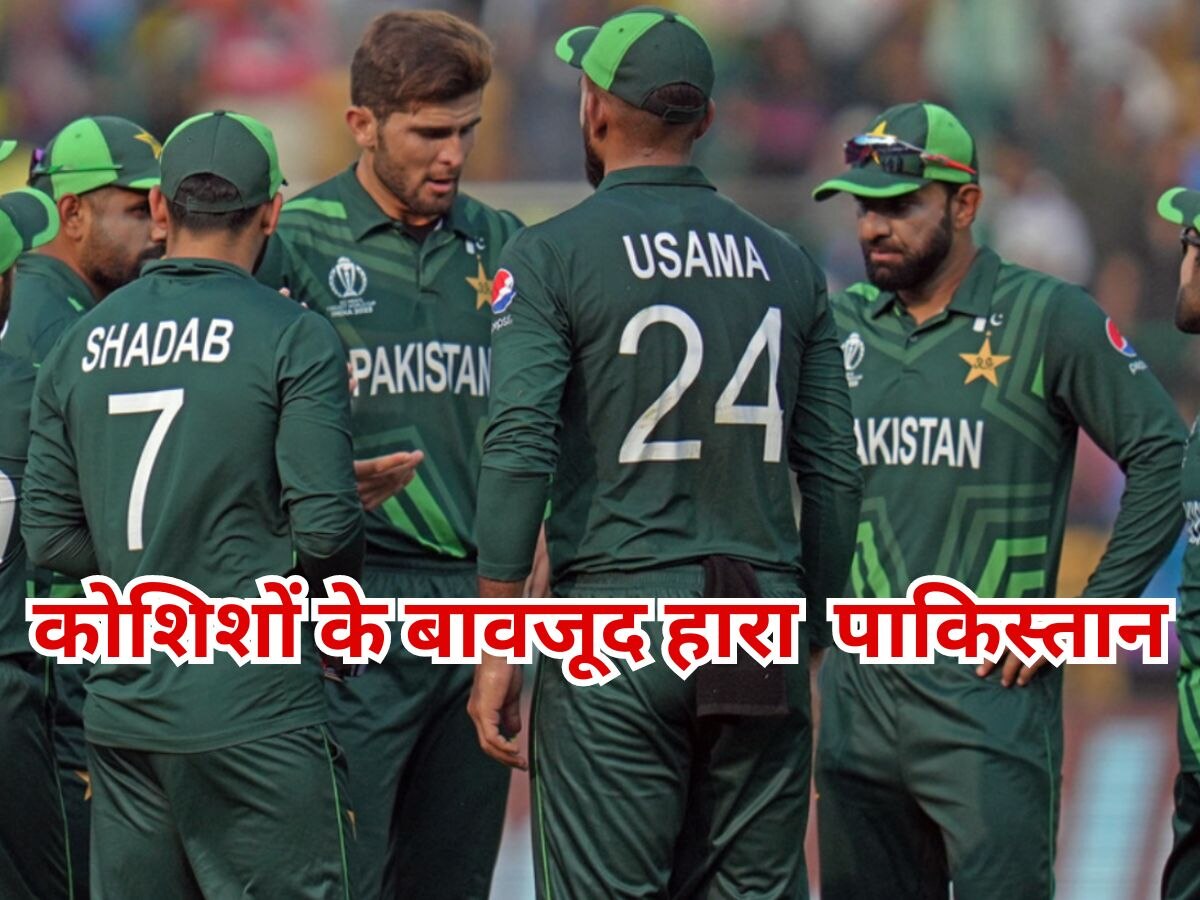 World Cup: खूब कोशिशों के बावजूद हारा पाकिस्तान, ऑस्ट्रेलिया ने दर्ज की 62 रनों से जीत
