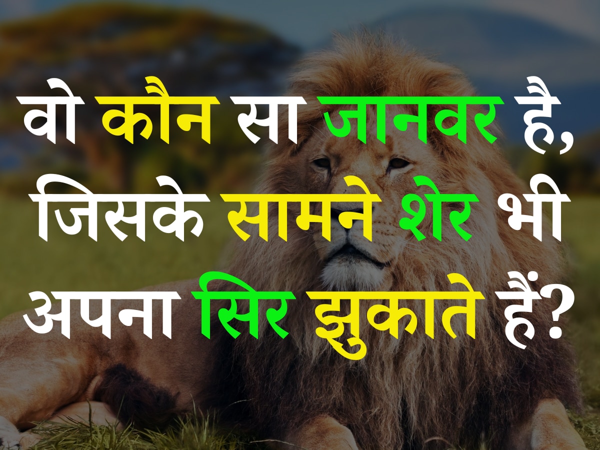 Quiz: आखिर ऐसा कौन सा जानवर है, जिसके सामने शेर भी अपना सिर झुकाते हैं?