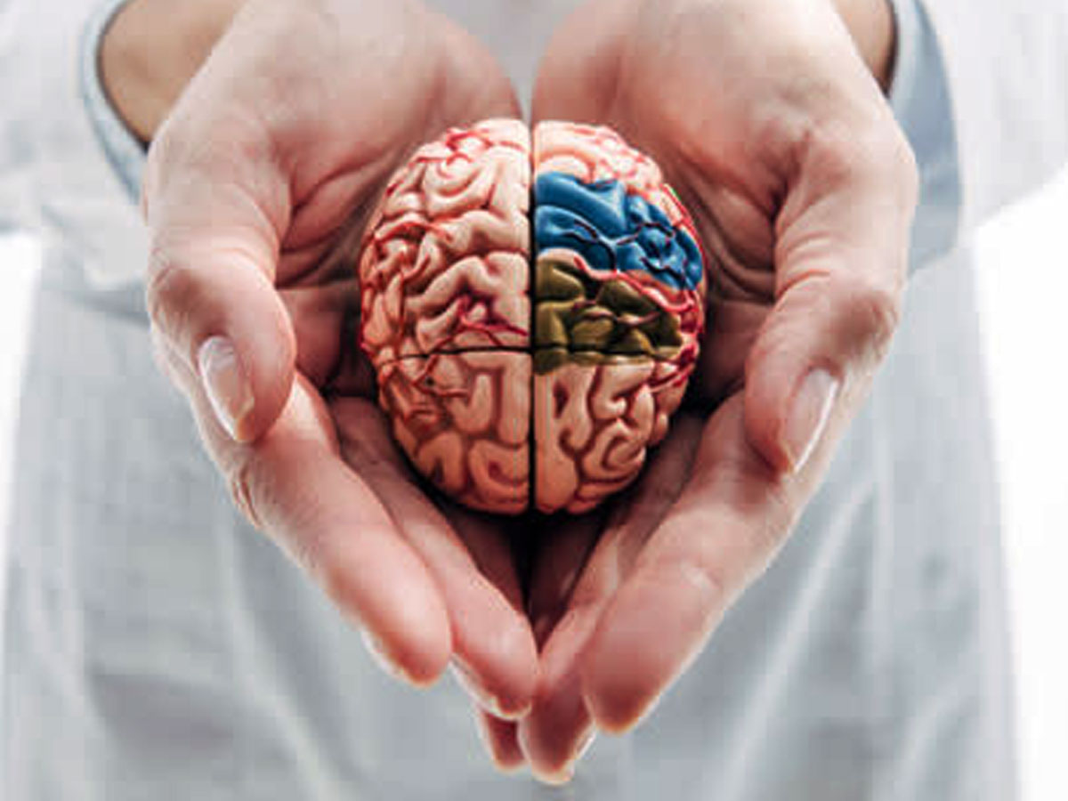 ब्रेन के लिए फायदेमंद