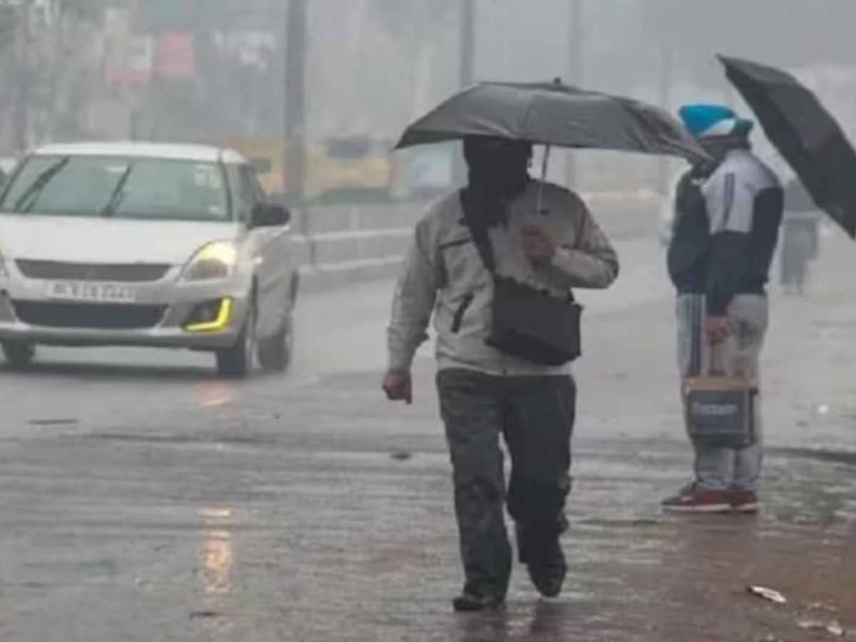 Weather Update: MP में बदला मौसम का मिजाज, गुलाबी ठंड ने दी दस्तक, छत्तीसगढ़ में ऐसा रहेगा मौसम 